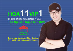 Hóa 11 VIP1